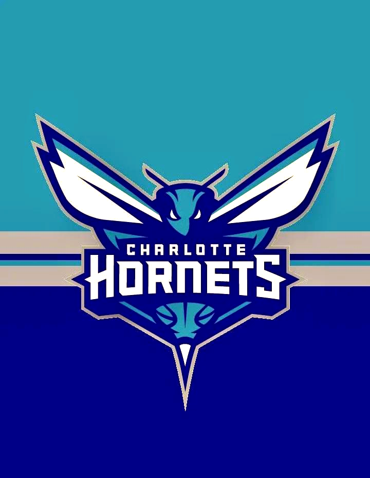 爱游戏官网-包含转折点夏洛特黄蜂完成体检；NBA季后赛加时末段攻防权衡；引发热议；球探报告显示潜力的词条