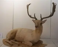 ad18使用教程复铜设置