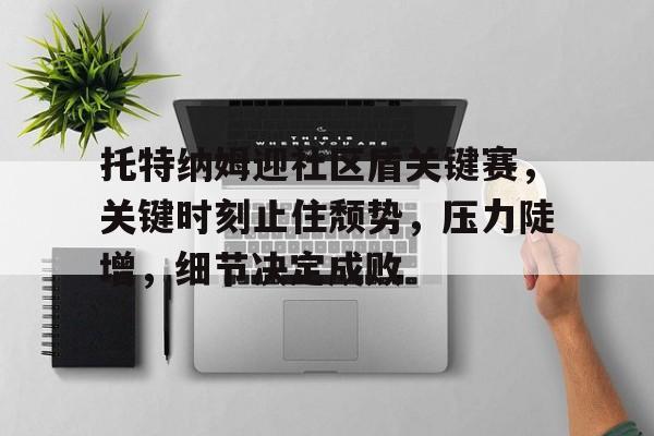 爱游戏-关于托特纳姆迎社区盾关键赛，关键时刻止住颓势，压力陡增，细节决定成败的信息